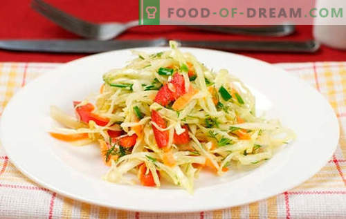 Cabbage salad with bell peppers - the best recipes. Cooking a salad with cabbage and sweet pepper.