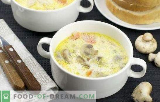 Chicken soup with mushrooms - a great first dish. Simple recipes for chicken soup with mushrooms: fresh, dried and canned