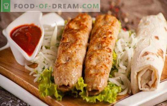 Chicken kebab is a tasty and original dish in less than an hour. Chicken kebab in the oven, in the pan and grill