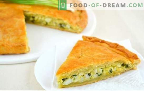 Jellied pie with green onions and egg - recipes for preparing fragrant pastries! Secrets of cooking jellied pie with green onions and egg