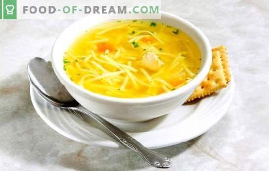 Chicken noodle broth - light soup. The best recipes of chicken broth with noodles: with giblets, egg, cheese, tomatoes