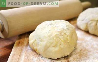 Yeast-free pizza dough - no slip! Recipes yeast-free pizza dough: on sour cream, mayonnaise, kefir and water
