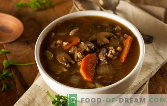 Lean soup with mushrooms - may it always be delicious! Various recipes for lean soups with mushrooms and cereals, noodles, vegetables
