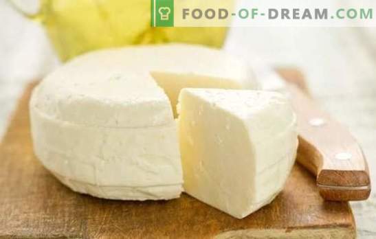 Homemade cheese: a step-by-step recipe for a natural dairy product with no additives. The secrets of delicious homemade cheese (step by step recipes)