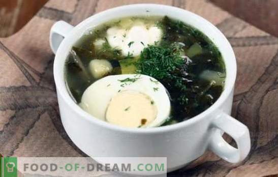 Green soup - vitamin charge and bright taste! Recipes of various green soup with sorrel and with cabbage, mushrooms, fish, nettles, beans