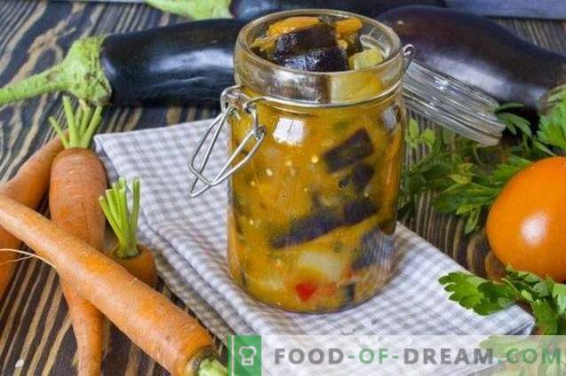 Eggplant with carrots - vegetable salad for the winter