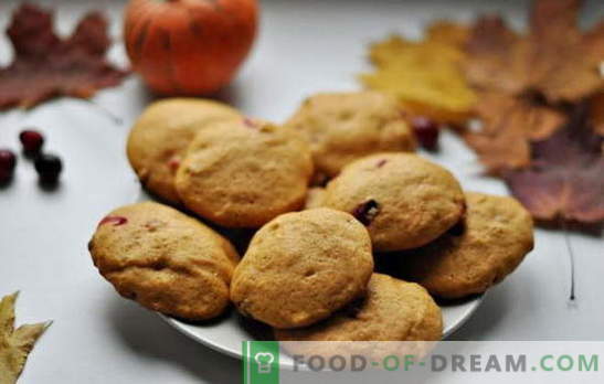 Cookie-uri simple pe chefir - tradiția de coacere la domiciliu. Rețete pentru cookie-uri simple pe chefir: fulgi de ovăz, cu scorțișoară, ciocolată, nuci, semințe de mac, etc.