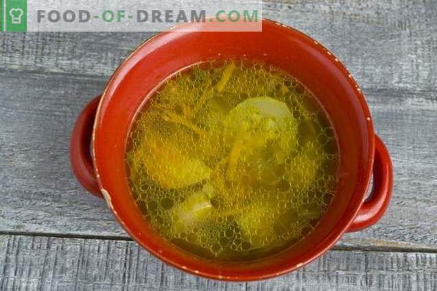 Fresh cabbage soup with chicken and lettuce