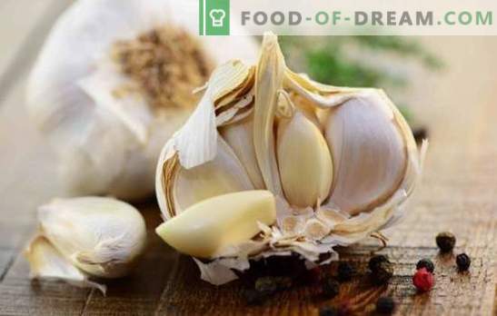 Savory appetizers with garlic: preparations and spicy dishes for a festive feast. How to cook a delicious snack with garlic
