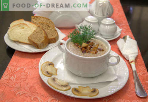 Champignon puree soup - proven recipes. How to properly and deliciously cook a soup of champignons.