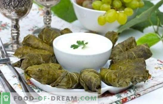 Dolma in grape leaves is the crown of Caucasian culinary art. Classic and original recipes dolma in grape leaves