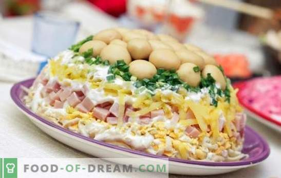 Layered salad with ham - an appetizer for all occasions. Recipes puff salad with ham, potatoes, prunes, chips