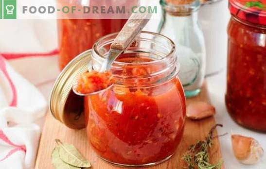 Sauce of tomatoes and apples - spicy seasoning for fish and meat dishes. How to cook a sauce of tomatoes and apples with spices