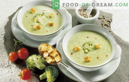 How to make a hearty diet soup: the best recipes. Simple dietary vegetable soup and not only