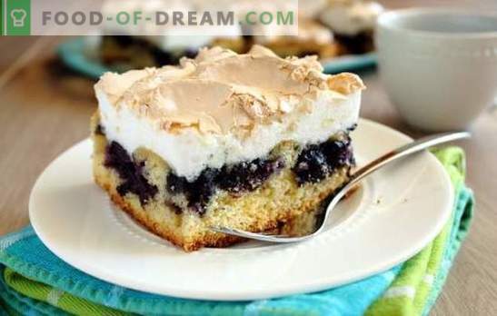 Pie with frozen blueberries is a favorite delicacy. A selection of recipes for pies with frozen blueberries from various types of dough