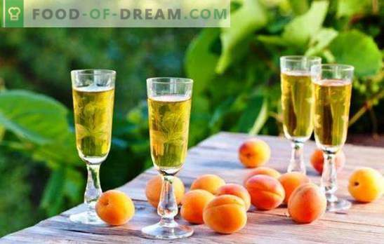 Home winemakers reveal the secrets of simple apricot wines. Recipes for different homemade apricot wines