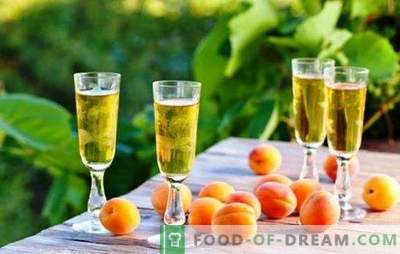 Home winemakers reveal the secrets of simple apricot wines. Recipes for different homemade apricot wines