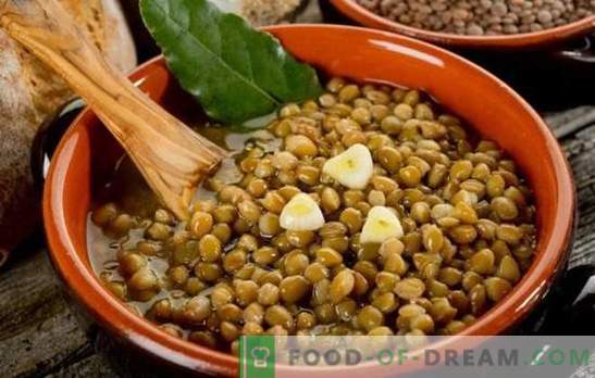 Lentil porridge is a healthy and unusual dish for every day. Various lentil porridge recipes for health and joy