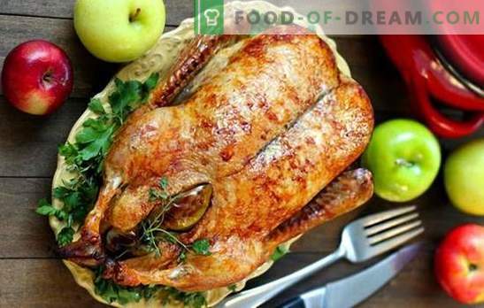 Christmas Goose: Top 5 Best Recipes