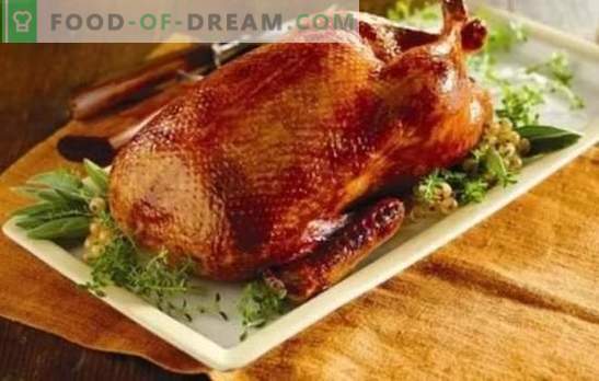Home-made duck in the oven: step-by-step recipes of a ruddy, juicy and fragrant bird. Cooking homemade duck in the oven using step-by-step recipes