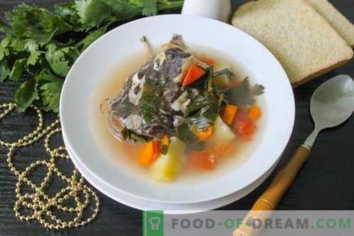 Catfish soup - how to cook it properly and tasty (recipe with photos)