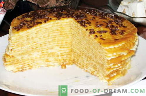 Cake made from the cake - the best recipes. How to properly and tasty to make a cake from the cake.