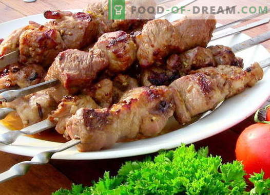 Beef Kebab - the best recipes. How to properly and tasty cook kebab of beef.