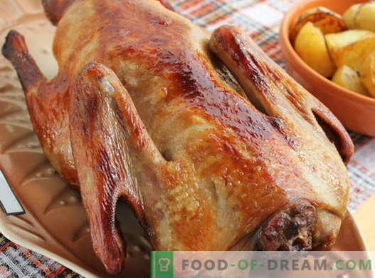 Duck baked in the oven - the best recipes. How to cook duck properly in the oven.
