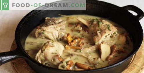 Rabbit in sour cream - the best recipes. How to properly and tasty cook rabbit in sour cream.