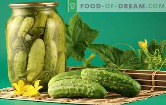 Pickled cucumbers for winter: who has not rolled up yet? Recipes for the most delicious pickled cucumbers