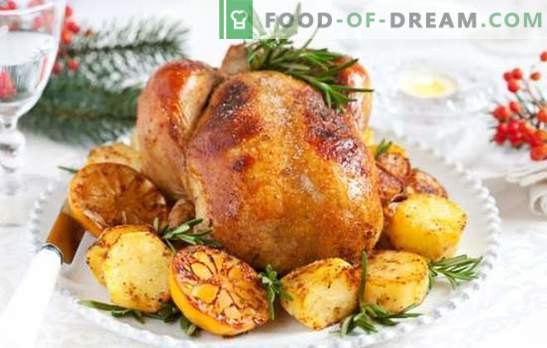Turkey and Potato: A versatile dish for a festive table and family dinner. Ways to cook turkey with potatoes