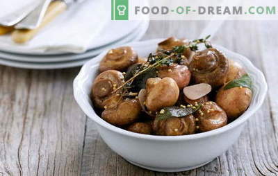 Variety of recipes and features of cooking marinated champignons. How to marinate champignons