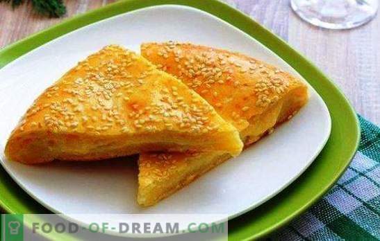 Cheese tortillas on kefir are a multinational product. Variants of cake with cheese on kefir: with pumpkin, onion