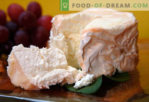 Homemade cheese - the best recipes. How to properly and tasty cook cheese from cottage cheese or milk at home.
