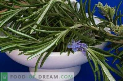 How to store rosemary
