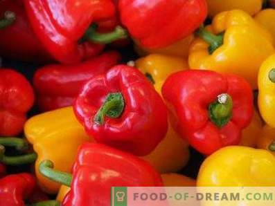 Bulgarian pepper: health benefits and harm