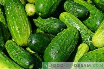 Cucumbers: health benefits and harm