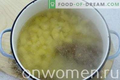 Soup with dumplings