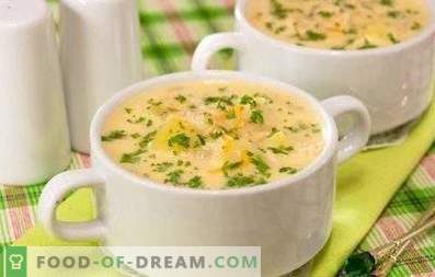 Cheese Chicken Cream Soup